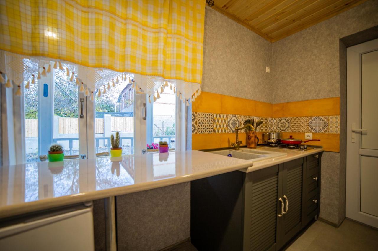 Savanna Guest House Dedoplis Tskaro Extérieur photo