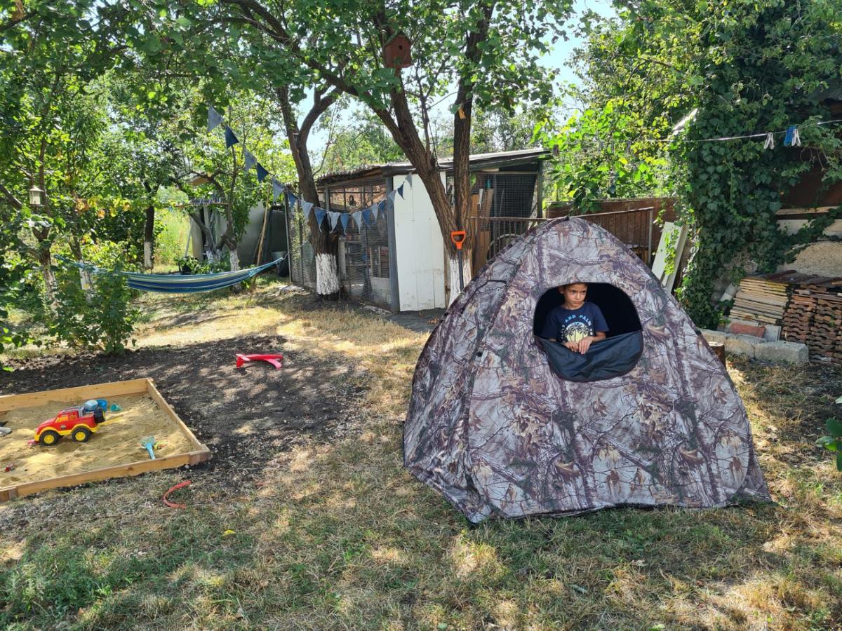 Savanna Guest House Dedoplis Tskaro Extérieur photo